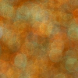 Bokeh-485